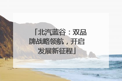 北汽蓝谷：双品牌战略领航，开启发展新征程