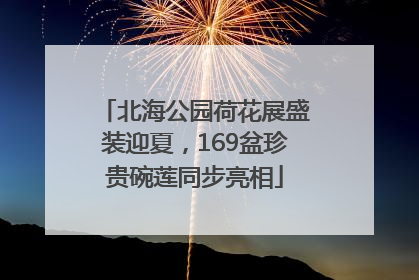 北海公园荷花展盛装迎夏，169盆珍贵碗莲同步亮相