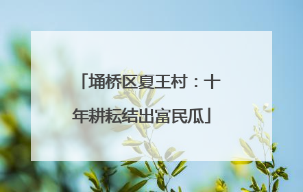 埇桥区夏王村：十年耕耘结出富民瓜