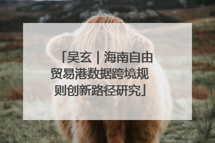 吴玄｜海南自由贸易港数据跨境规则创新路径研究