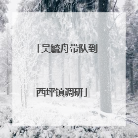 吴毓舟带队到西坪镇调研