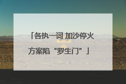 各执一词 加沙停火方案陷“罗生门”