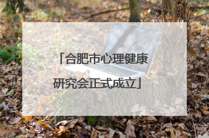 合肥市心理健康研究会正式成立