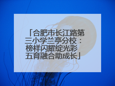 合肥市长江路第三小学兰亭分校：榜样闪耀绽光彩 五育融合助成长