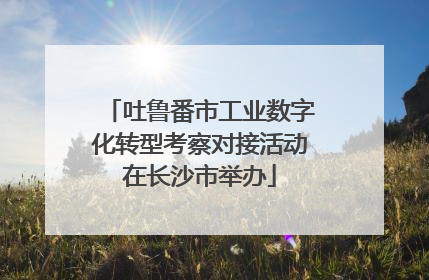 吐鲁番市工业数字化转型考察对接活动在长沙市举办