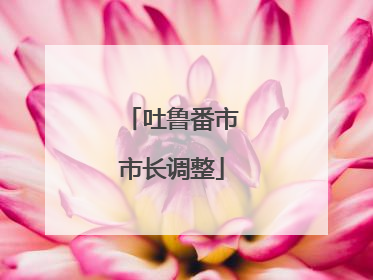 吐鲁番市市长调整