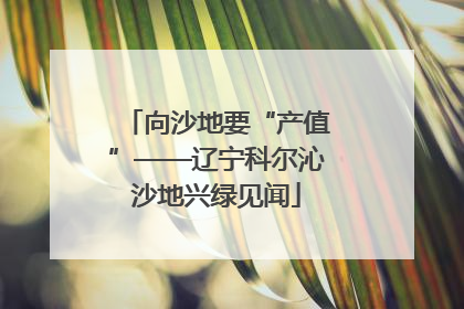 向沙地要“产值”——辽宁科尔沁沙地兴绿见闻
