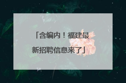 含编内！福建最新招聘信息来了