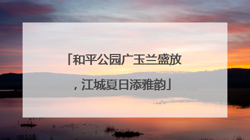 和平公园广玉兰盛放，江城夏日添雅韵
