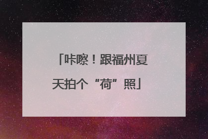 咔嚓！跟福州夏天拍个“荷”照