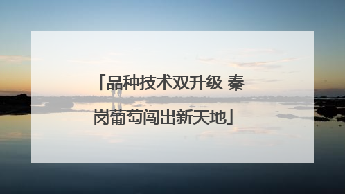 品种技术双升级 秦岗葡萄闯出新天地