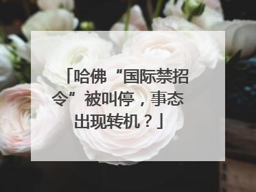 哈佛“国际禁招令”被叫停，事态出现转机？