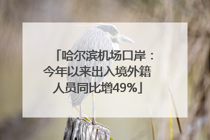 哈尔滨机场口岸：今年以来出入境外籍人员同比增49%