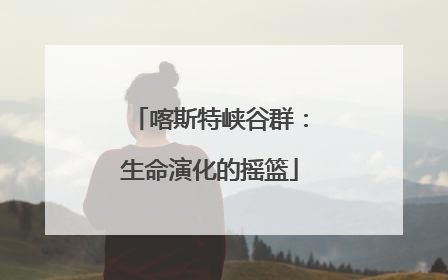 喀斯特峡谷群：生命演化的摇篮