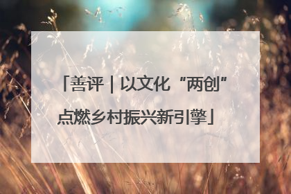 善评｜以文化“两创”点燃乡村振兴新引擎