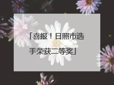 喜报！日照市选手荣获二等奖