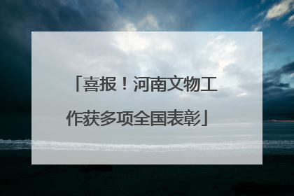 喜报！河南文物工作获多项全国表彰