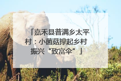 嘉禾县普满乡太平村：小菌菇撑起乡村振兴“致富伞”