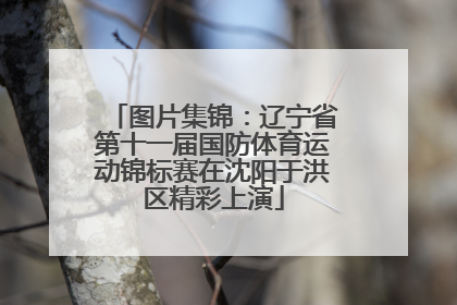 图片集锦：辽宁省第十一届国防体育运动锦标赛在沈阳于洪区精彩上演