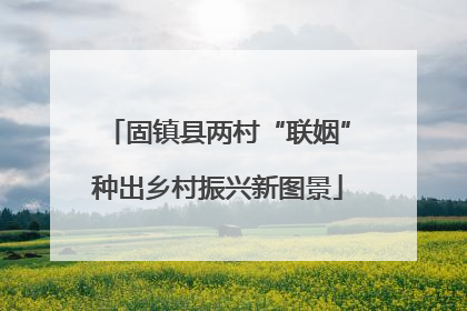 固镇县两村“联姻”种出乡村振兴新图景