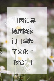 固镇县杨庙镇家门口建起了文化“粮仓”