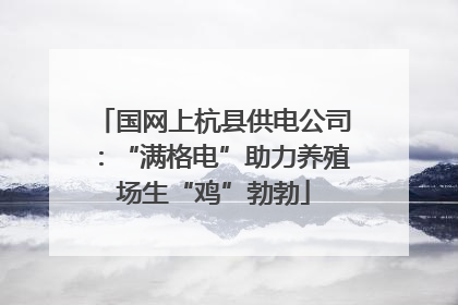 国网上杭县供电公司：“满格电”助力养殖场生“鸡”勃勃