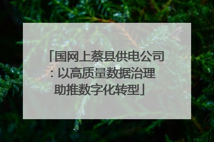 国网上蔡县供电公司：以高质量数据治理 助推数字化转型