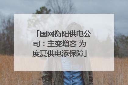 国网衡阳供电公司：主变增容 为度夏供电添保障