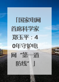国家电网首席科学家郑玉平：40年守护电网“第一道防线”