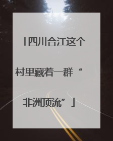 四川合江这个村里藏着一群“非洲顶流”