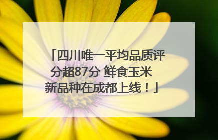 四川唯一平均品质评分超87分 鲜食玉米新品种在成都上线！