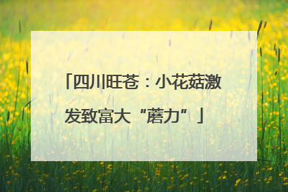 四川旺苍：小花菇激发致富大“蘑力”