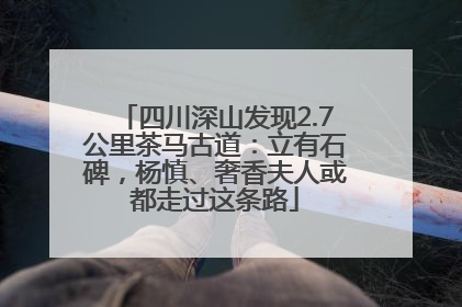四川深山发现2.7公里茶马古道：立有石碑，杨慎、奢香夫人或都走过这条路