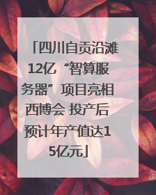 四川自贡沿滩12亿“智算服务器”项目亮相西博会 投产后预计年产值达15亿元