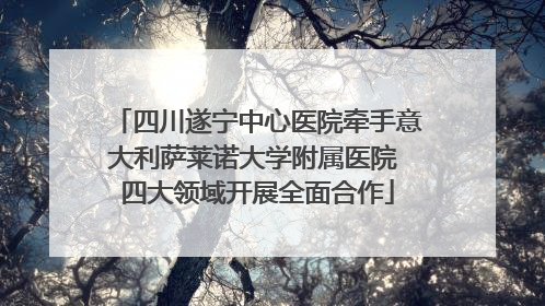 四川遂宁中心医院牵手意大利萨莱诺大学附属医院 四大领域开展全面合作