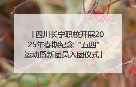 四川长宁职校开展2025年春期纪念“五四”运动暨新团员入团仪式