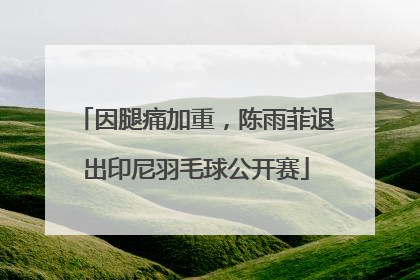 因腿痛加重，陈雨菲退出印尼羽毛球公开赛