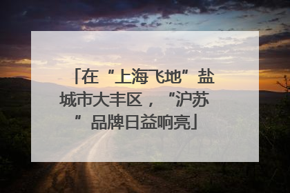 在“上海飞地”盐城市大丰区，“沪苏”品牌日益响亮