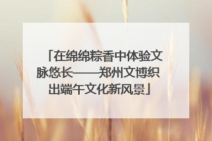 在绵绵粽香中体验文脉悠长——郑州文博织出端午文化新风景