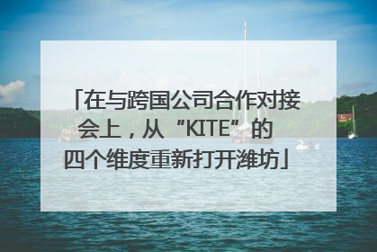 在与跨国公司合作对接会上，从“KITE”的四个维度重新打开潍坊