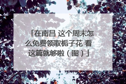 在南昌 这个周末怎么免费领取栀子花 看这篇就够啦（图）
