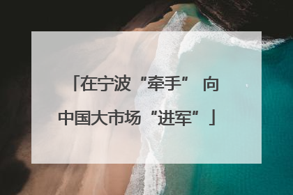 在宁波“牵手” 向中国大市场“进军”