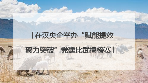 在汉央企举办“赋能提效 聚力突破”党建比武揭榜赛