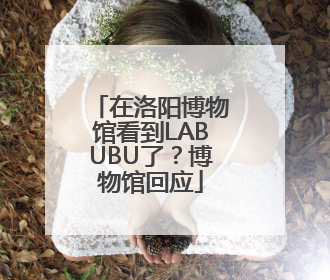 在洛阳博物馆看到LABUBU了？博物馆回应