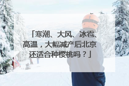 寒潮、大风、冰雹、高温，大幅减产后北京还适合种樱桃吗？