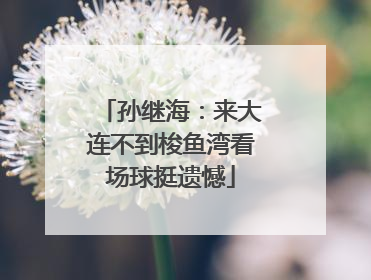 孙继海：来大连不到梭鱼湾看场球挺遗憾
