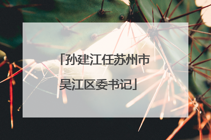 孙建江任苏州市吴江区委书记