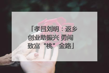 孝昌刘明：返乡创业助振兴 勇闯致富“桃”金路