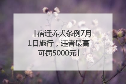 宿迁养犬条例7月1日施行，违者最高可罚5000元