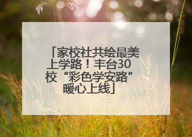 家校社共绘最美上学路！丰台30校“彩色学安路”暖心上线